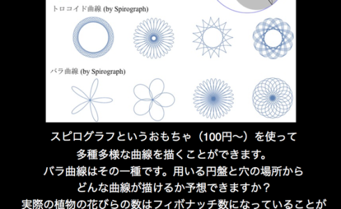 第６５回「数学的に美しい？〜バラ曲線とフィボナッチ〜」