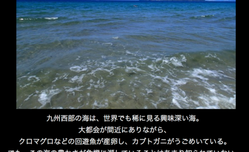 第３１回「九州の西の海の恵みと危機〜九州西部の海の環境や資源の管理を考える〜」開催レポート