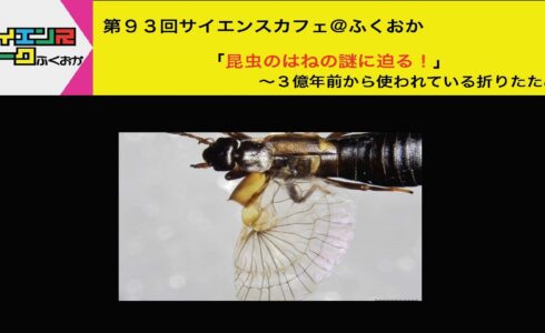 第９３回「昆虫のはねの謎に迫る！～３億年前から使われている折りたたみ～」開催レポート