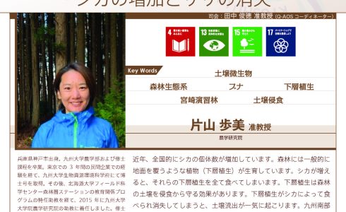 【6/12開催】第144回Brown Bag Seminar Series「今、九州の奥山で起こっている森林劣化 – シカの増加とササの消失 -」
